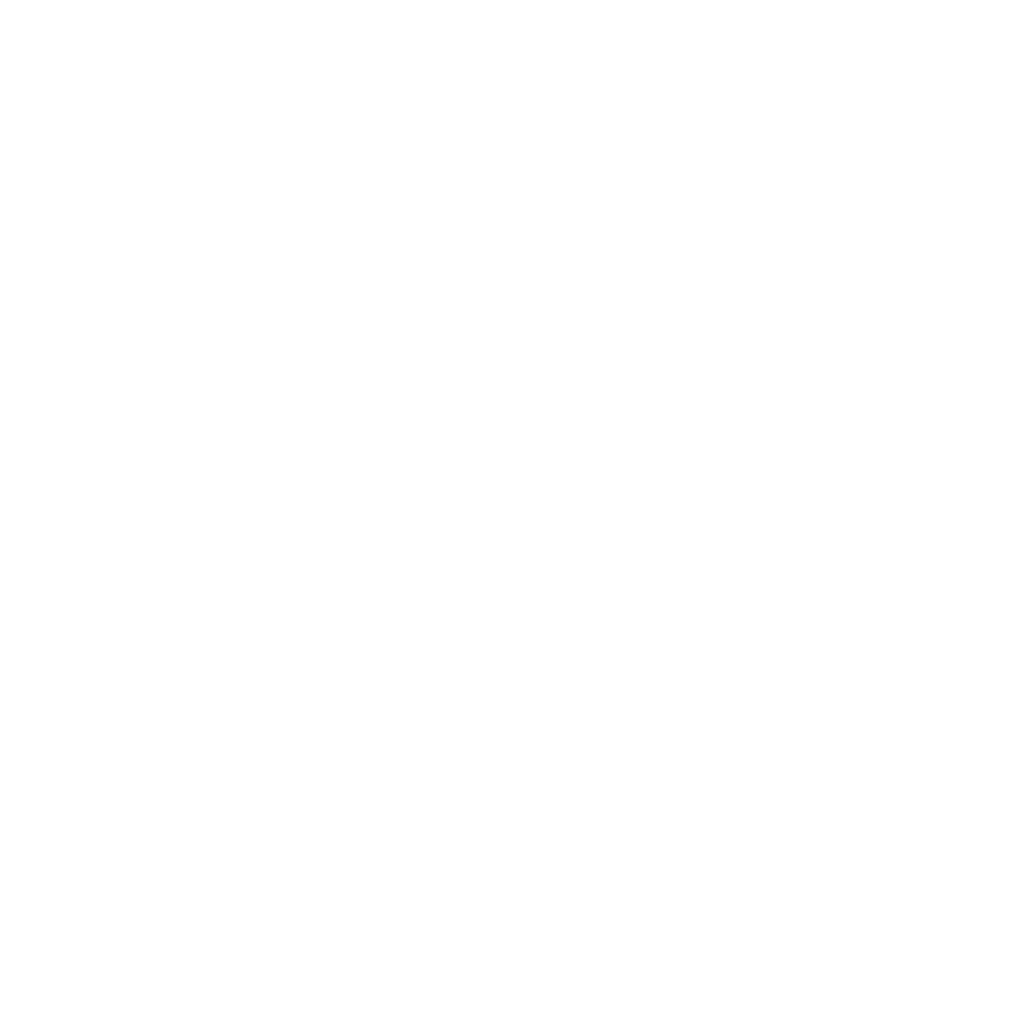 logo_stella_vett_w